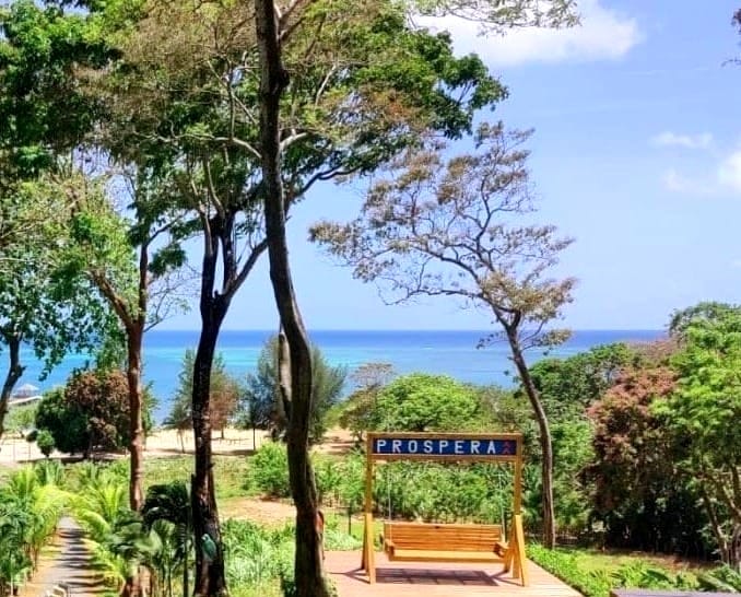 Is Próspera ZEDE the World's Most Business-Friendly Jurisdiction?